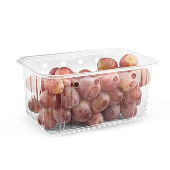 Heat-seal Punnets